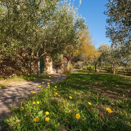 Piccola Oasi-6 By Interhome Prázdninový dům Capoliveri (Isola d'Elba)